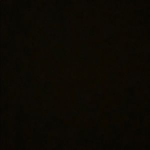 Meet your Posher, Ankitha